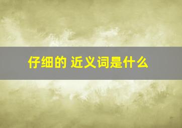 仔细的 近义词是什么